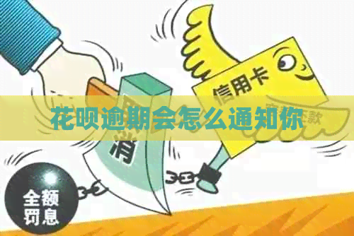 花呗逾期会怎么通知你