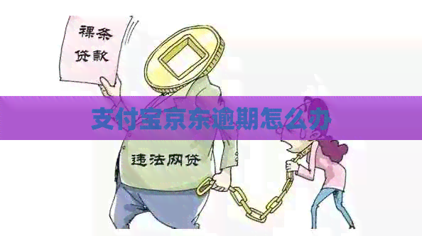 支付宝京东逾期怎么办