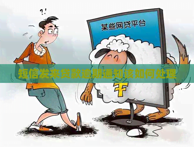 短信发来贷款逾期通知该如何处理