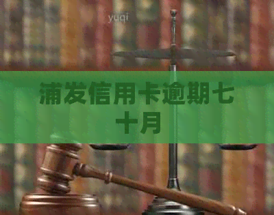浦发信用卡逾期七十月