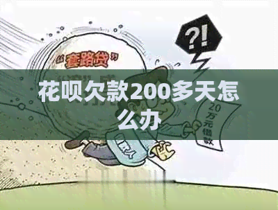 花呗欠款200多天怎么办