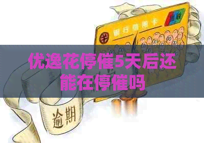 优逸花停催5天后还能在停催吗