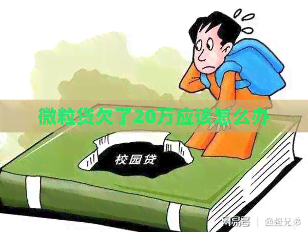 微粒贷欠了20万应该怎么办