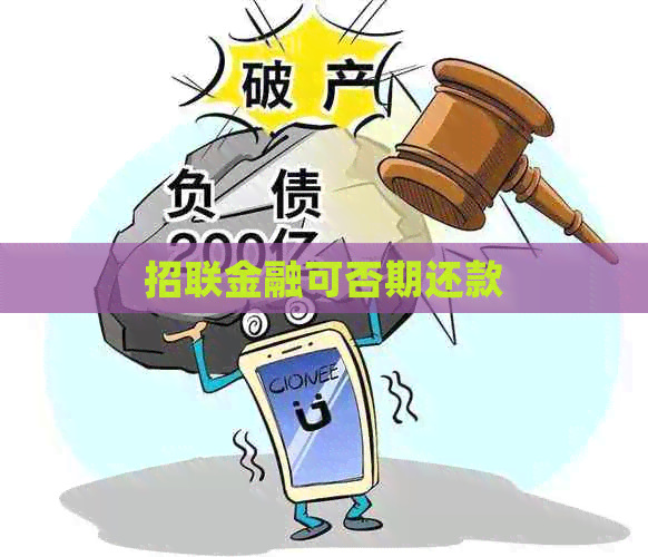 招联金融可否期还款
