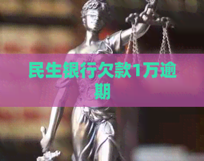 民生银行欠款1万逾期