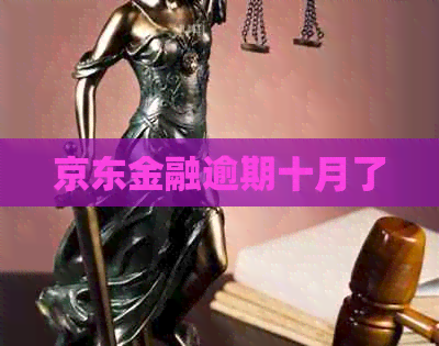京东金融逾期十月了