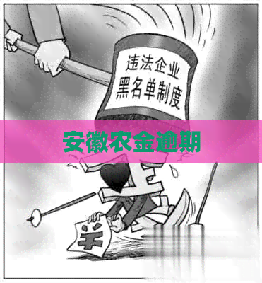 安徽农金逾期