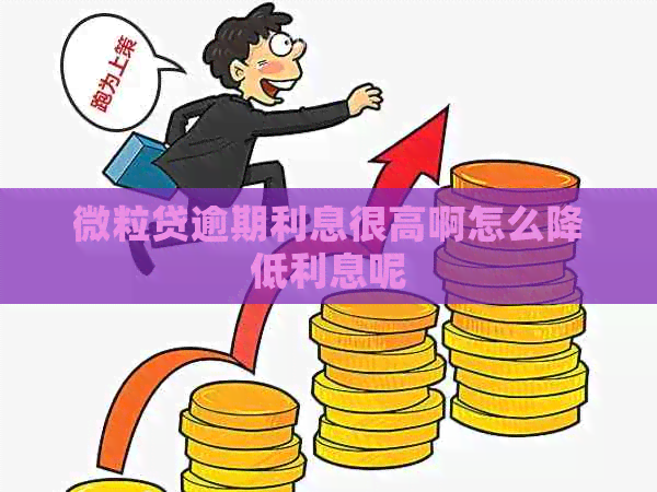 微粒贷逾期利息很高啊怎么降低利息呢