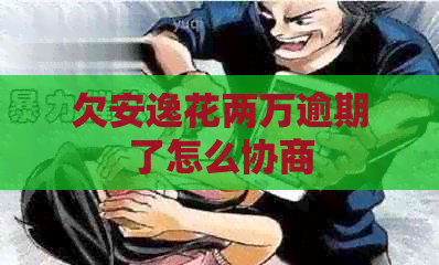 欠安逸花两万逾期了怎么协商