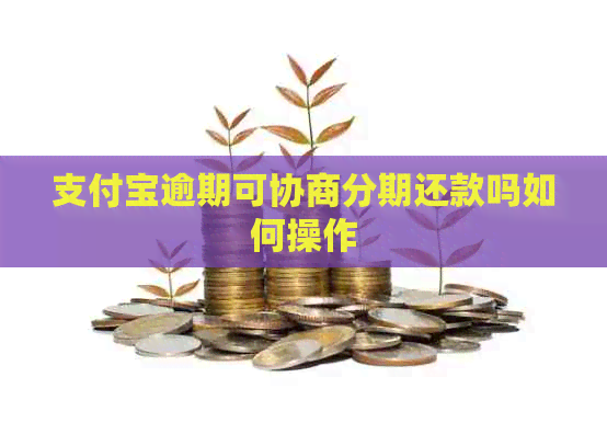 支付宝逾期可协商分期还款吗如何操作