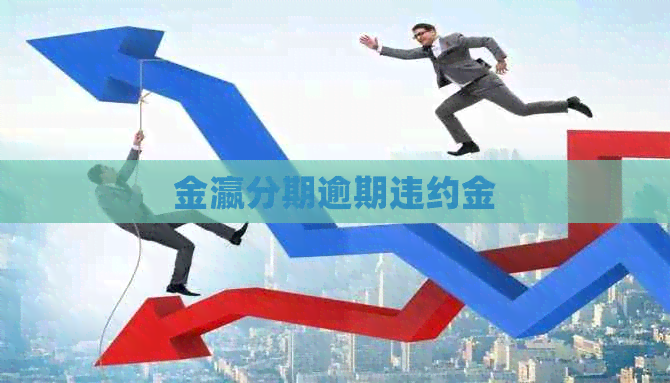 金瀛分期逾期违约金