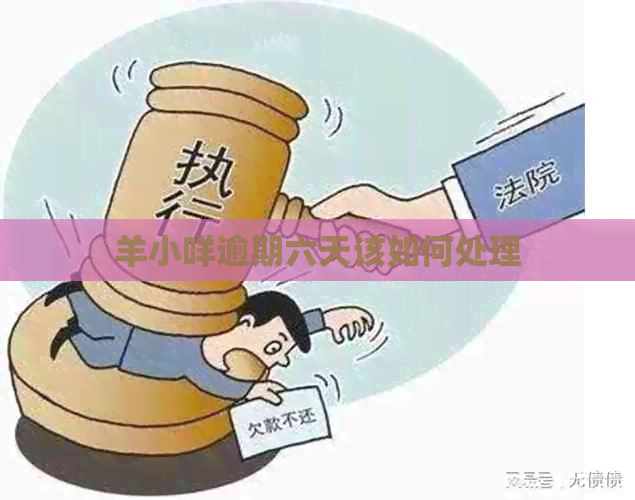 羊小咩逾期六天该如何处理
