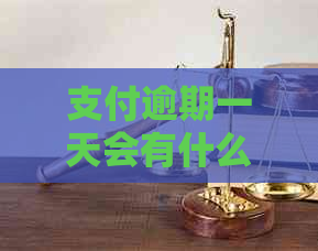支付逾期一天会有什么后果