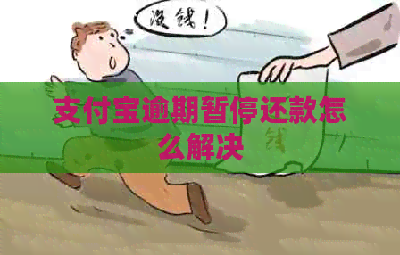 支付宝逾期暂停还款怎么解决