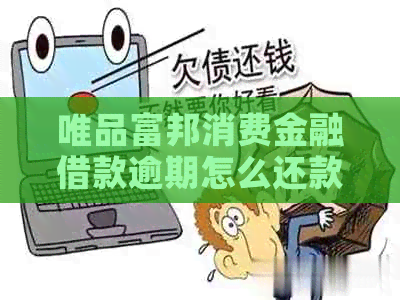 唯品富邦消费金融借款逾期怎么还款方式