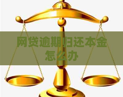 网贷逾期归还本金怎么办