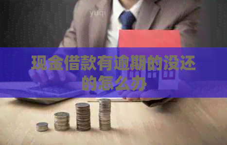 现金借款有逾期的没还的怎么办
