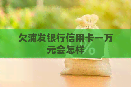 欠浦发银行信用卡一万元会怎样