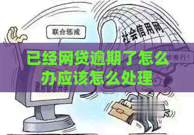 已经网贷逾期了怎么办应该怎么处理