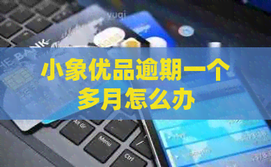 小象优品逾期一个多月怎么办