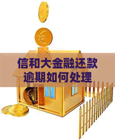 信和大金融还款逾期如何处理
