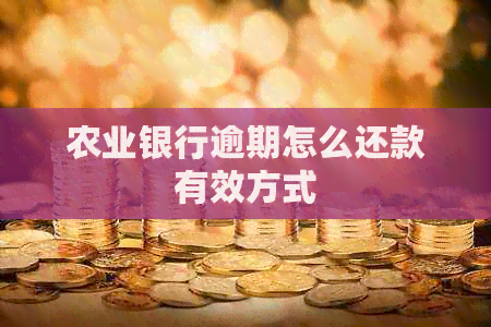 农业银行逾期怎么还款有效方式