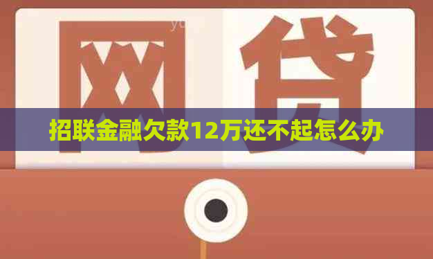 招联金融欠款12万还不起怎么办