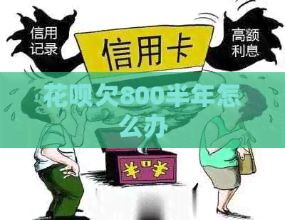 花呗欠800半年怎么办