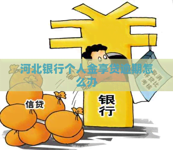 河北银行个人金享贷逾期怎么办