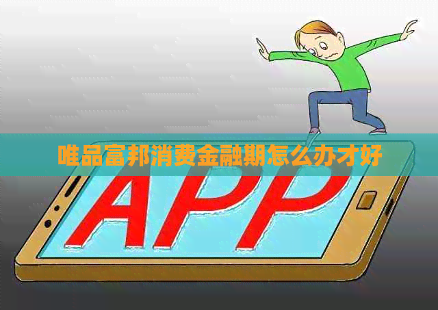 唯品富邦消费金融期怎么办才好