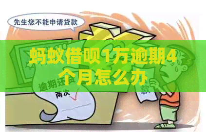蚂蚁借呗1万逾期4个月怎么办