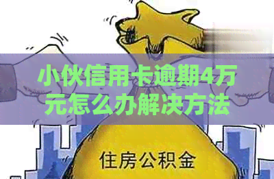 小伙信用卡逾期4万元怎么办解决方法