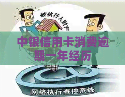 中银信用卡消费逾期一年经历