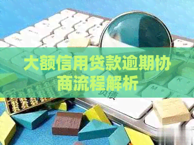 大额信用贷款逾期协商流程解析