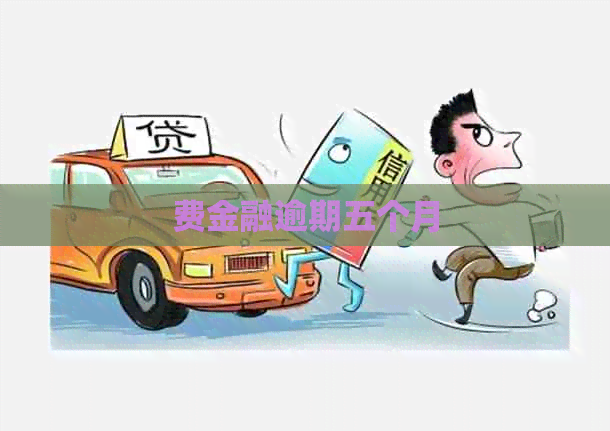 费金融逾期五个月