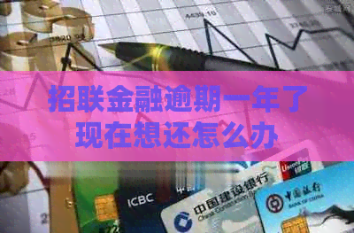 招联金融逾期一年了现在想还怎么办