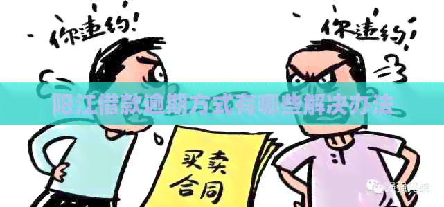 阳江借款逾期方式有哪些解决办法