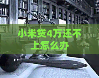 小米贷4万还不上怎么办