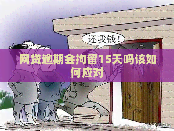 网贷逾期会拘留15天吗该如何应对