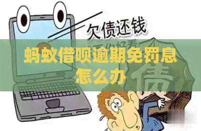 蚂蚁借呗逾期免罚息怎么办
