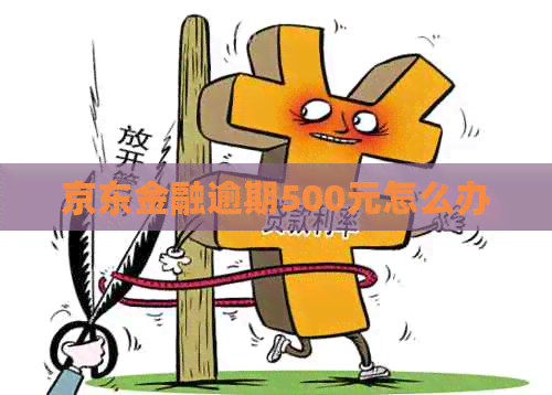 京东金融逾期500元怎么办