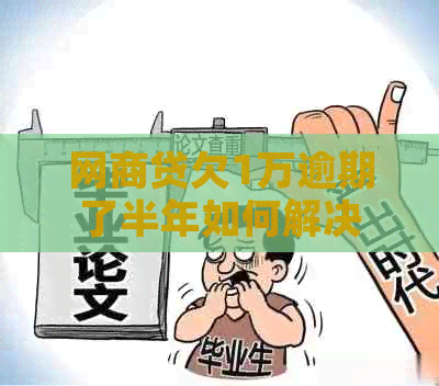 网商贷欠1万逾期了半年如何解决