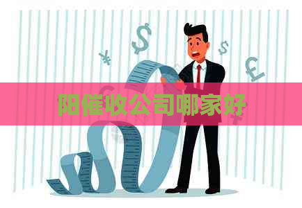 阳公司哪家好