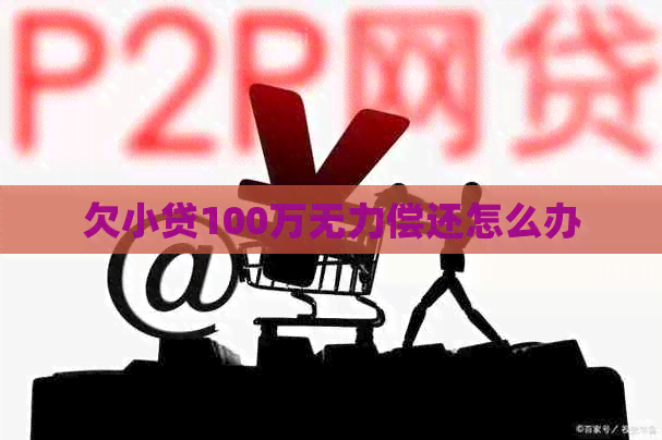 欠小贷100万无力偿还怎么办