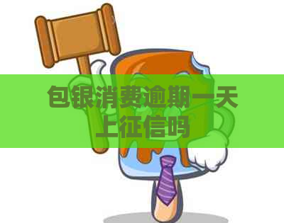 包银消费逾期一天上吗