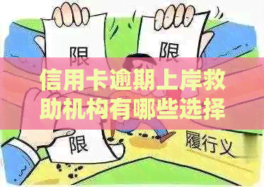 信用卡逾期上岸救助机构有哪些选择