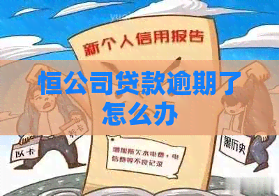 恒公司贷款逾期了怎么办
