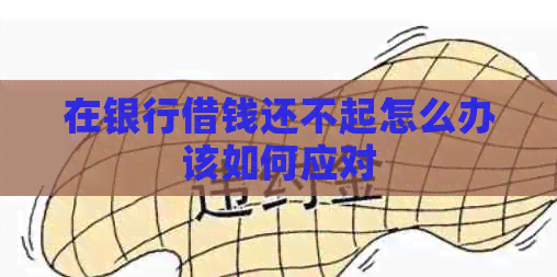 在银行借钱还不起怎么办该如何应对