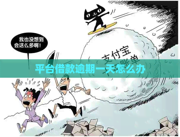 平台借款逾期一天怎么办