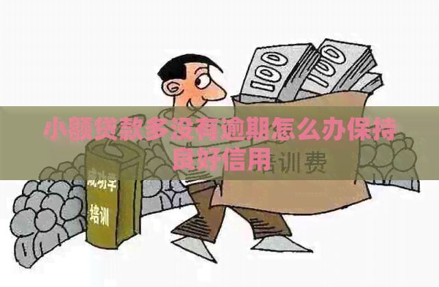 小额贷款多没有逾期怎么办保持良好信用